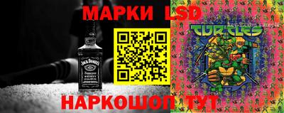 прущие крисы Аргун
