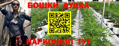 прущие крисы Аргун