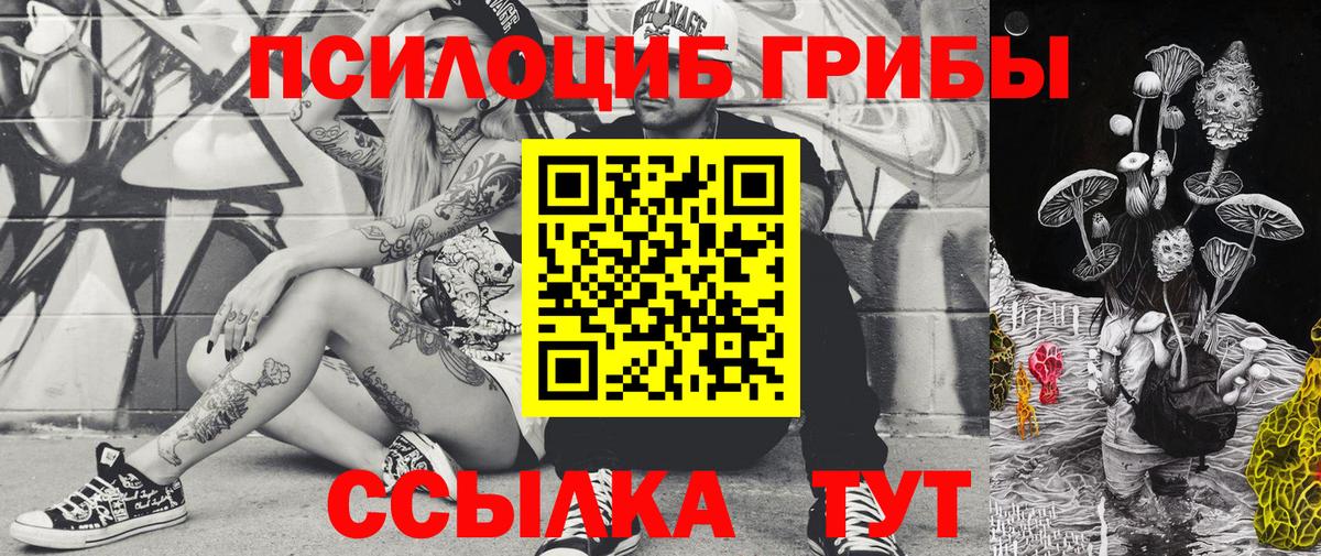 Псилоцибиновые грибы Magic Shrooms  Вход с VPN  как найти наркотики  Верхний Уфалей  Галлюциногенные грибы GOLDEN TEACHER 