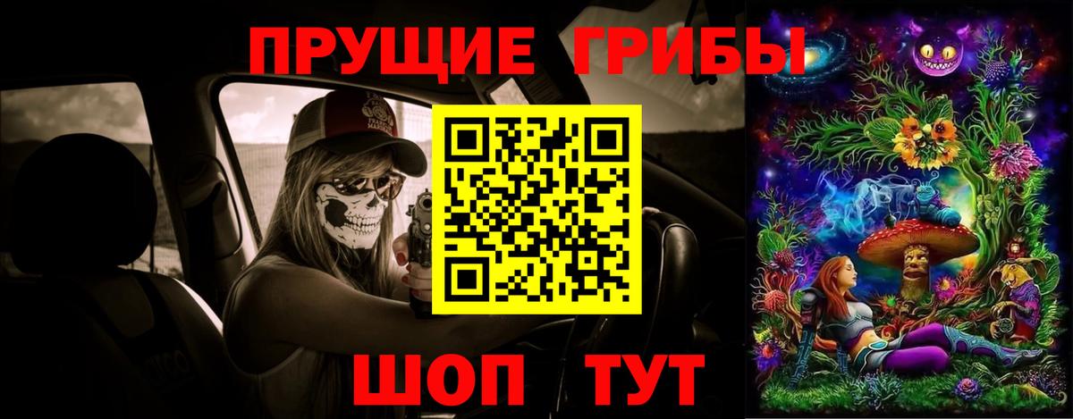 Псилоцибиновые грибы Psilocybine cubensis Верхний Уфалей